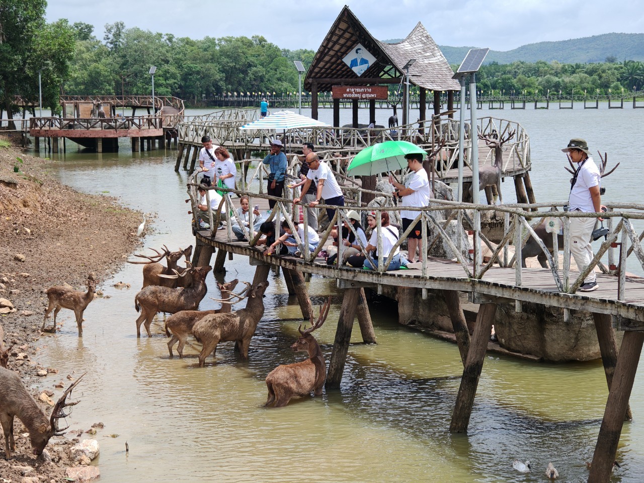 โพทัย วิเชียรรัตน์