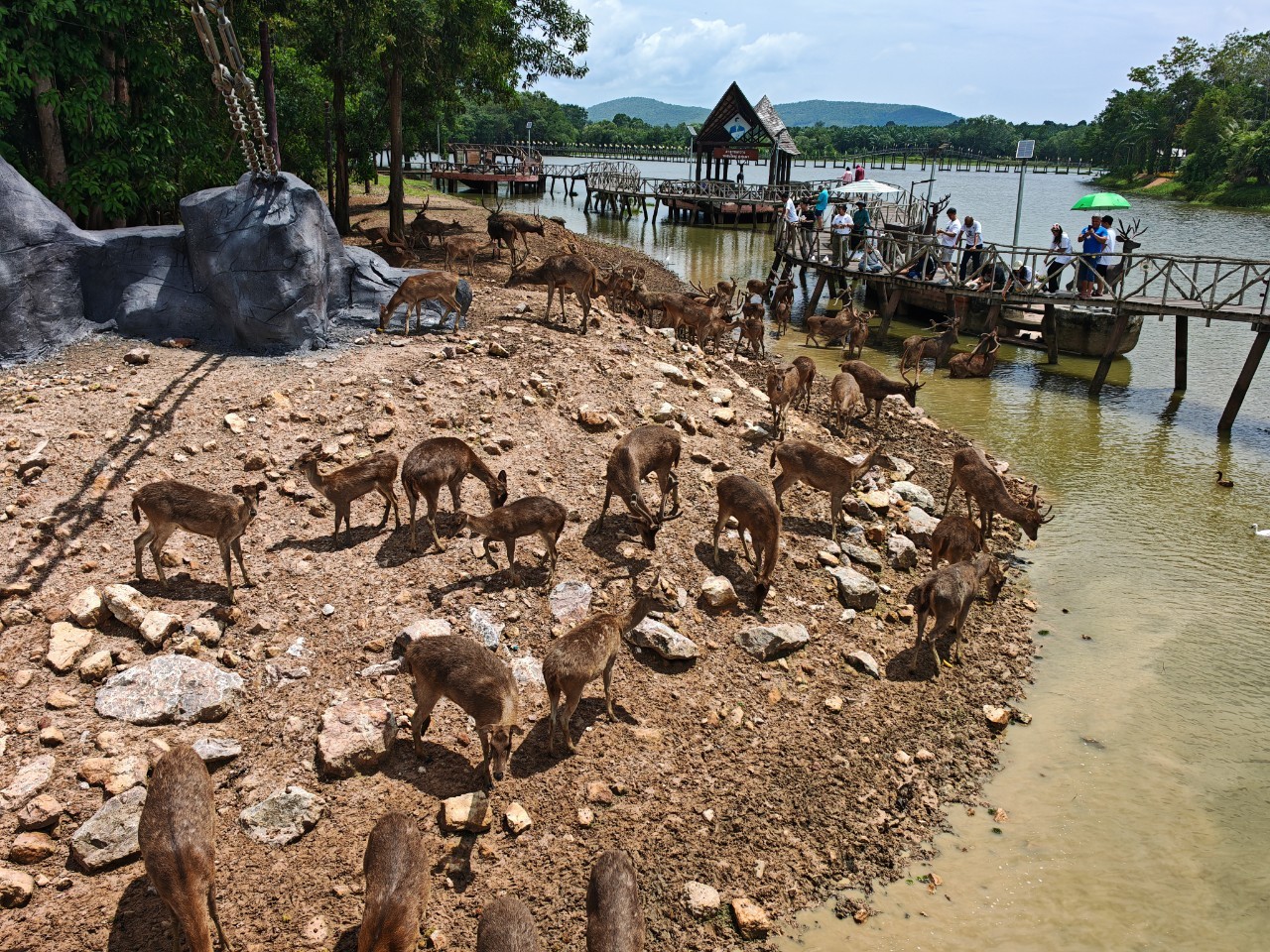 โพทัย วิเชียรรัตน์